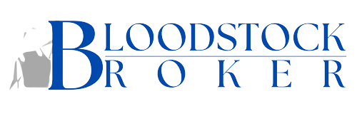 bloodstockbroker